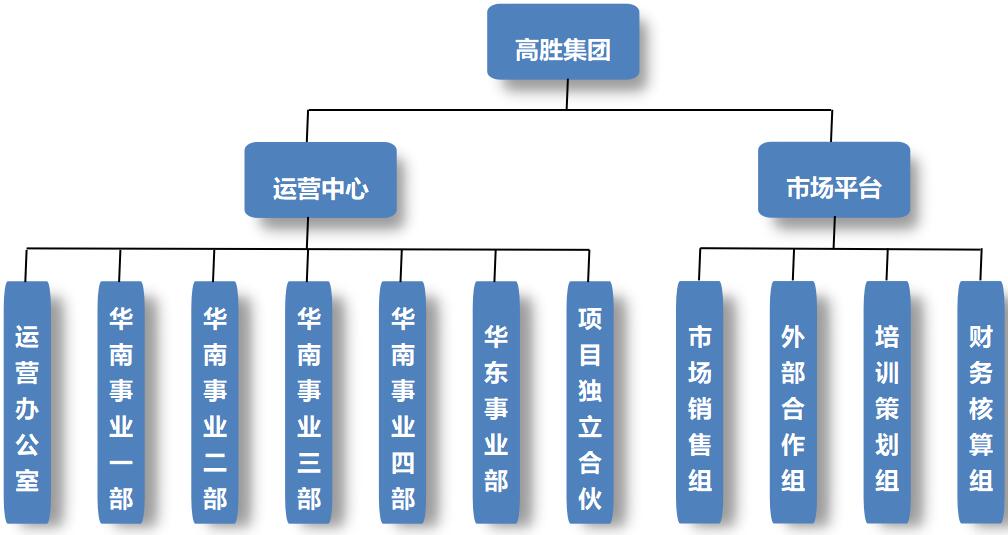 重要发布！高胜咨询重新调整组织架构 2020齐头并进再启航